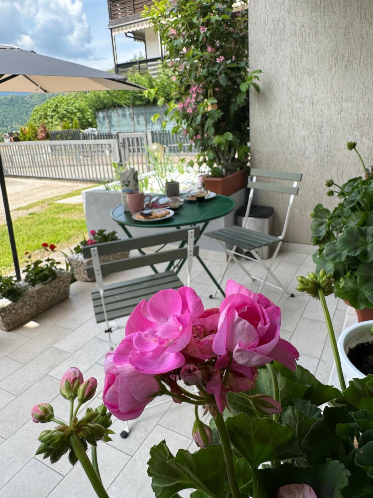 Green House Next - Lovely Apartment For Family And Free Parking Levico Terme Luaran gambar